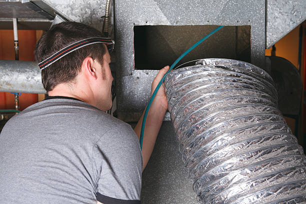 Best Dryer Vent Cleaning Services  in Chase City, VA