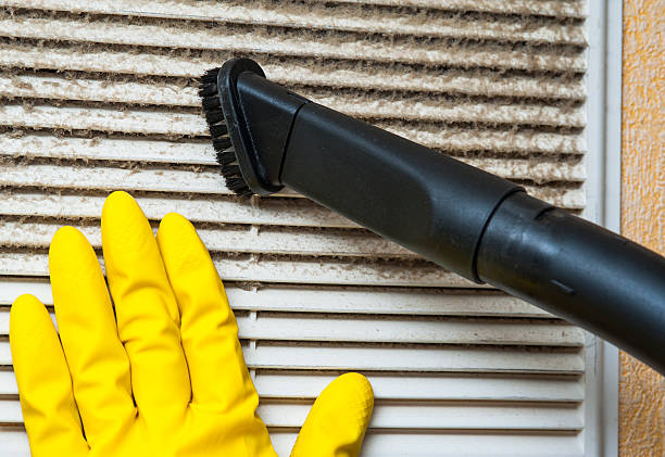 Best Professional Duct Cleaning Services  in Chase City, VA